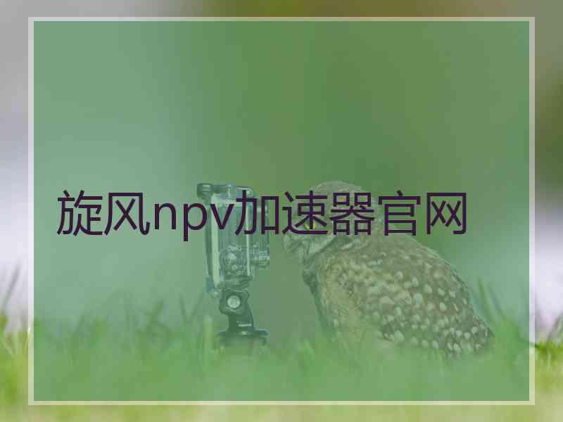 旋风npv加速器官网