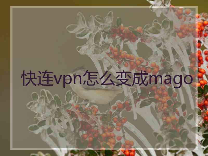 快连vpn怎么变成mago