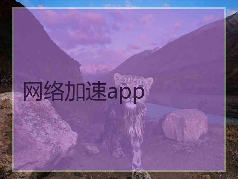 网络加速app