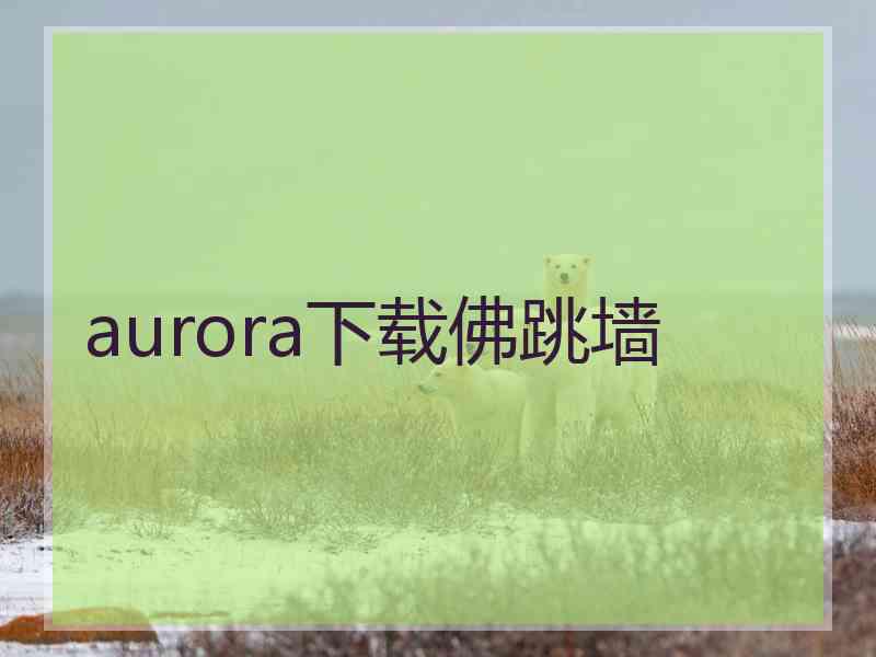 aurora下载佛跳墙