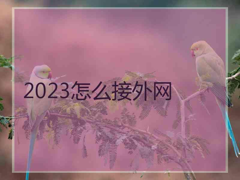 2023怎么接外网