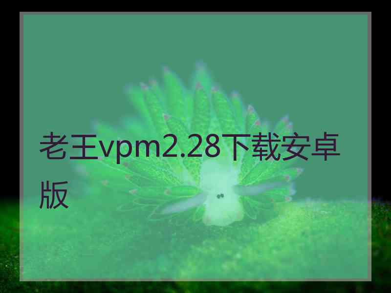 老王vpm2.28下载安卓版