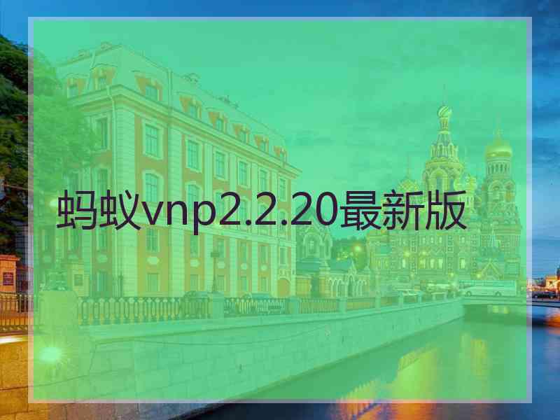 蚂蚁vnp2.2.20最新版