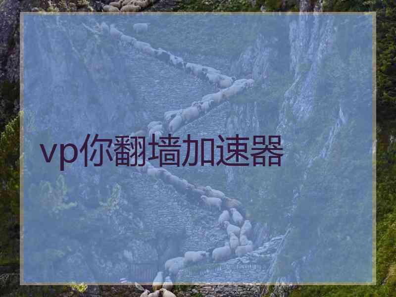 vp你翻墙加速器