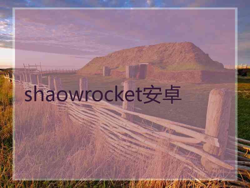 shaowrocket安卓