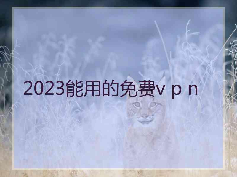 2023能用的免费v p n