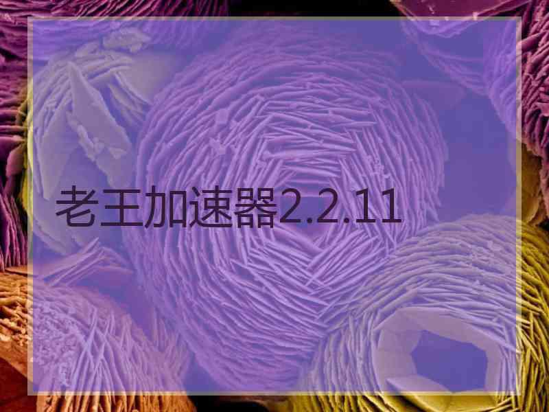 老王加速器2.2.11