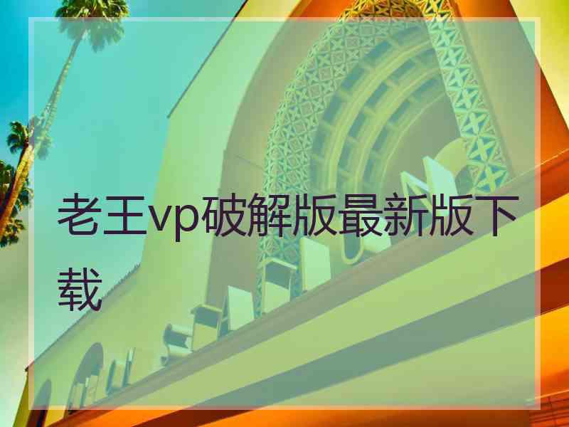 老王vp破解版最新版下载