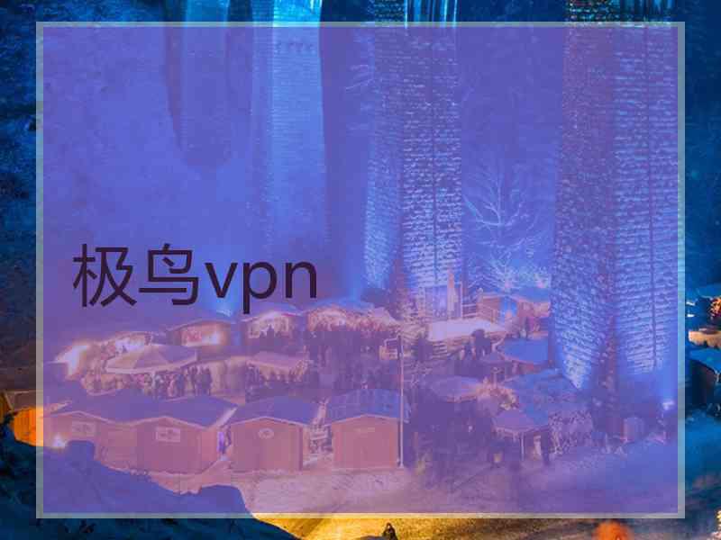 极鸟vpn