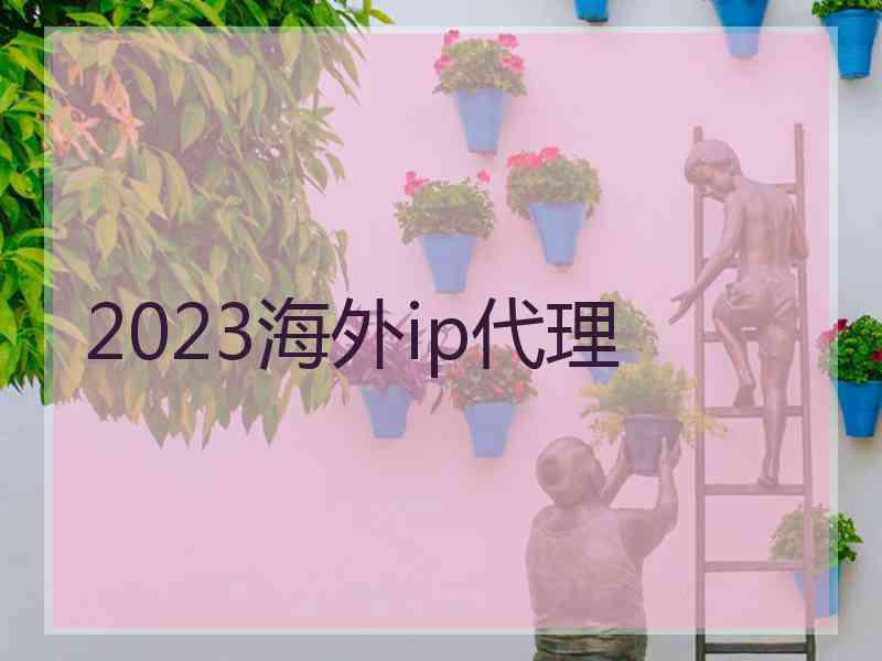 2023海外ip代理