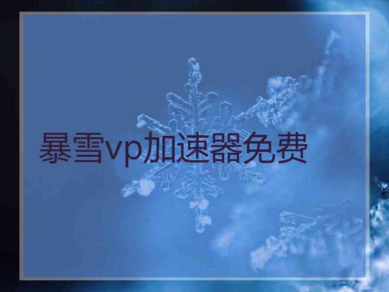 暴雪vp加速器免费