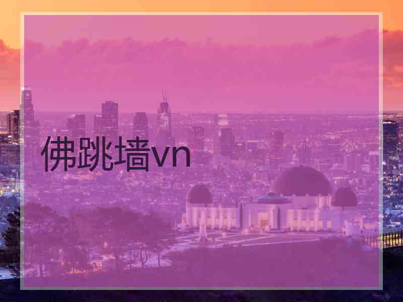 佛跳墙vn