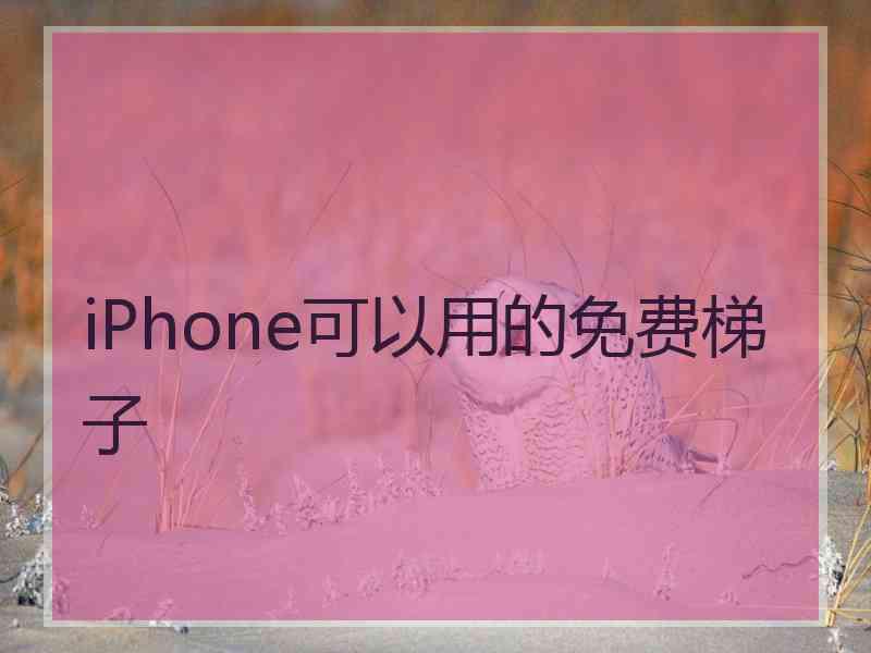 iPhone可以用的免费梯子