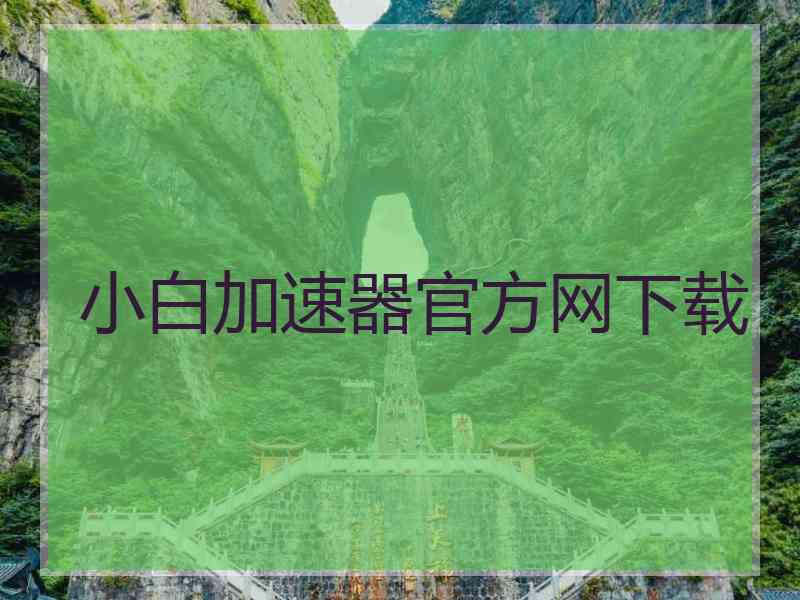 小白加速器官方网下载