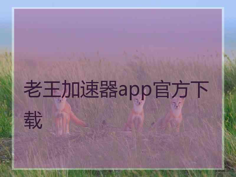 老王加速器app官方下载