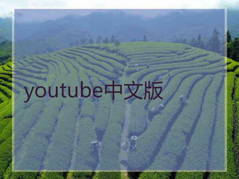 youtube中文版