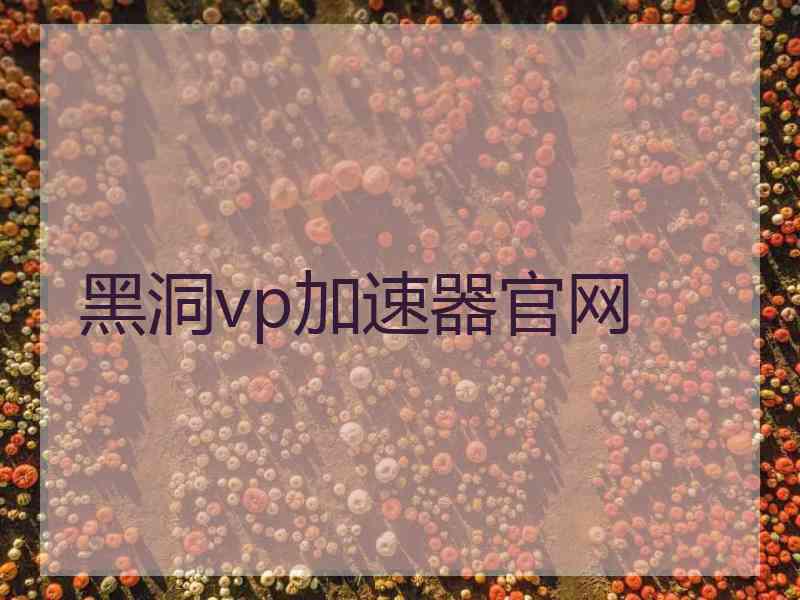 黑洞vp加速器官网