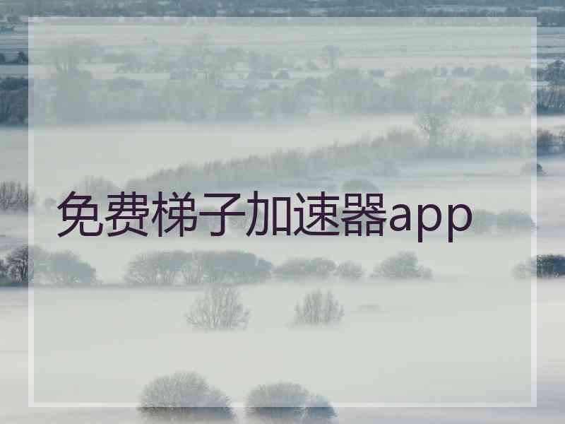 免费梯子加速器app