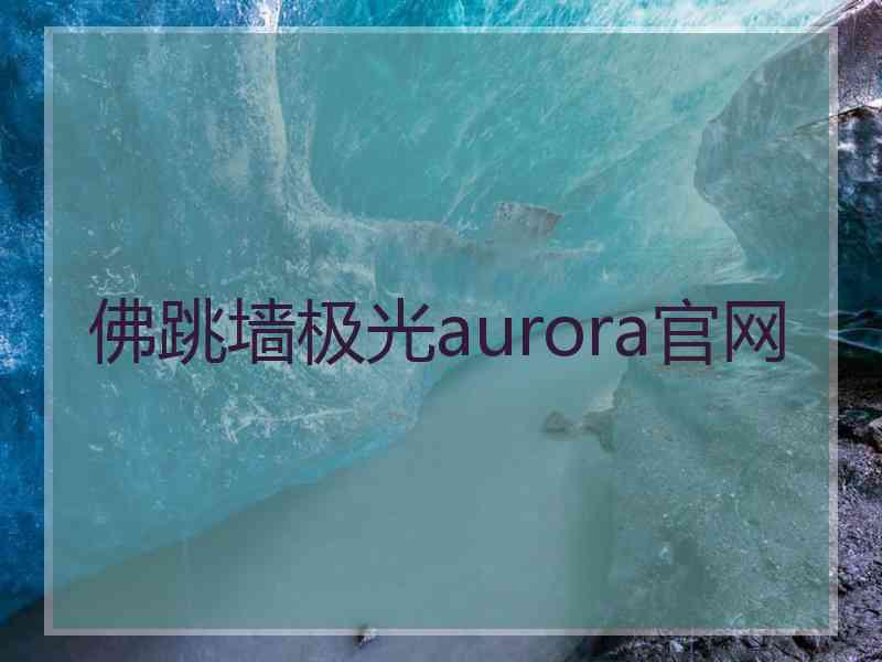 佛跳墙极光aurora官网