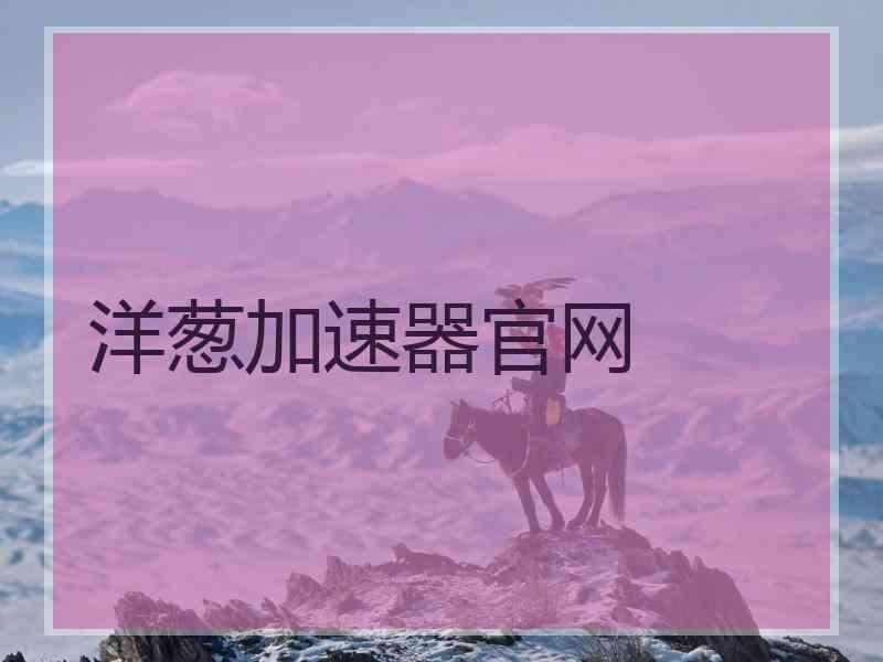 洋葱加速器官网