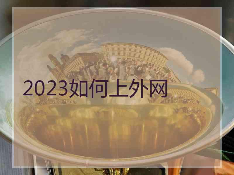 2023如何上外网