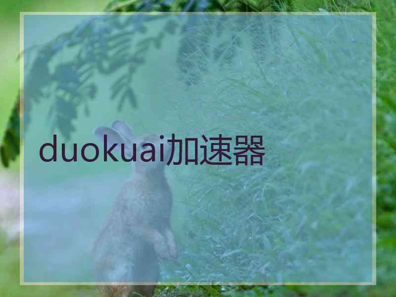 duokuai加速器