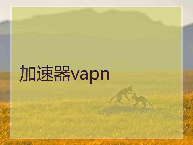 加速器vapn