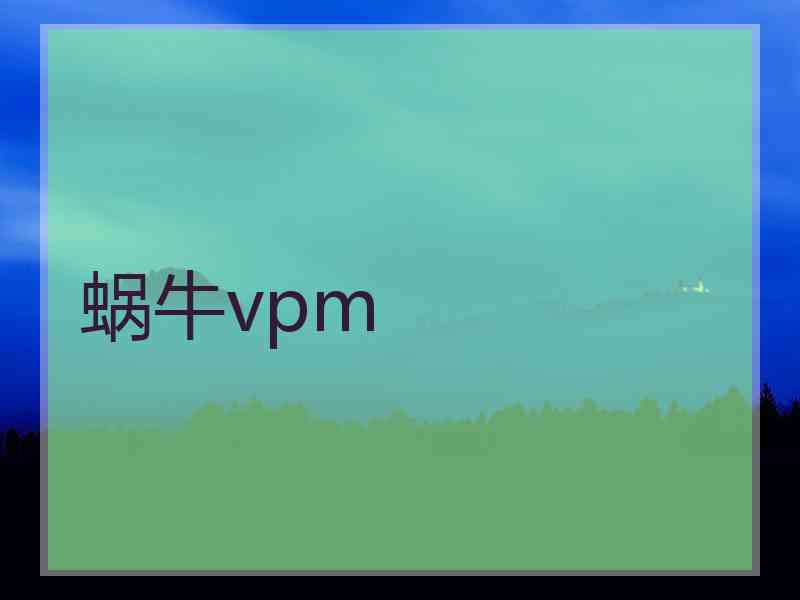 蜗牛vpm