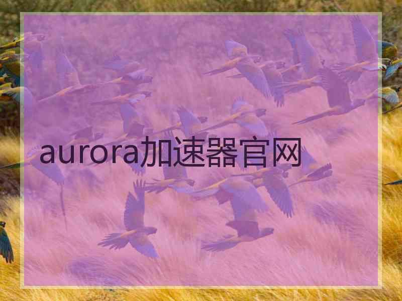 aurora加速器官网