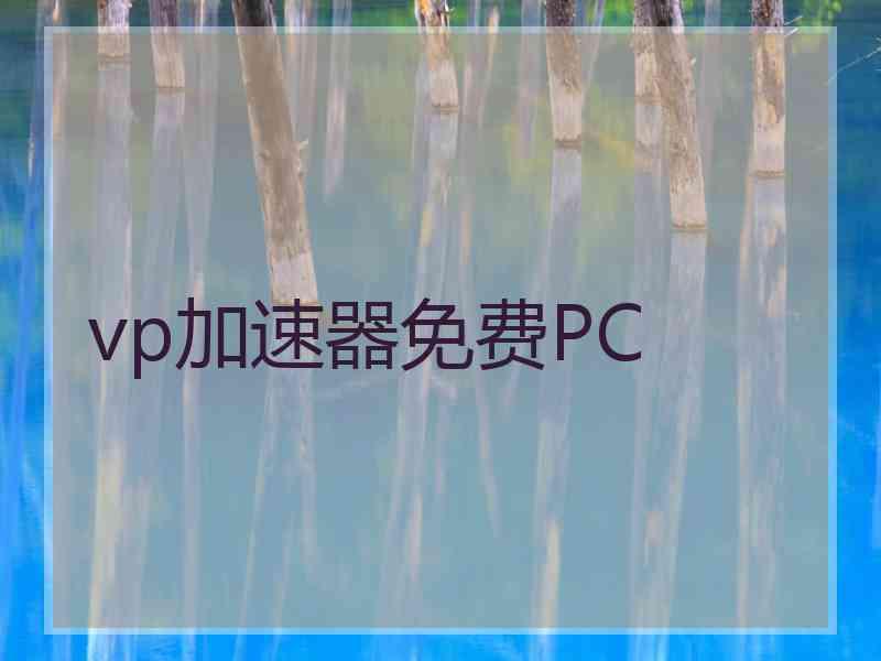 vp加速器免费PC