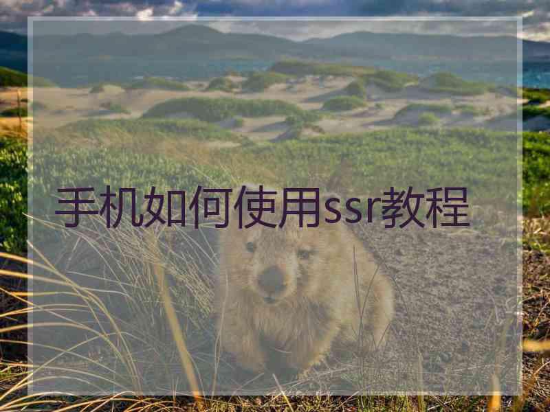 手机如何使用ssr教程