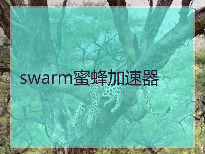 swarm蜜蜂加速器