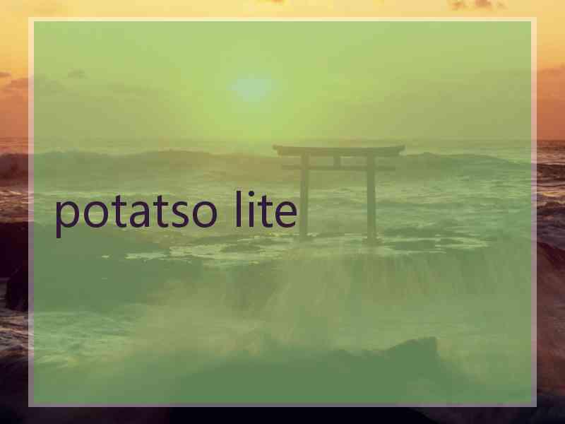 potatso lite