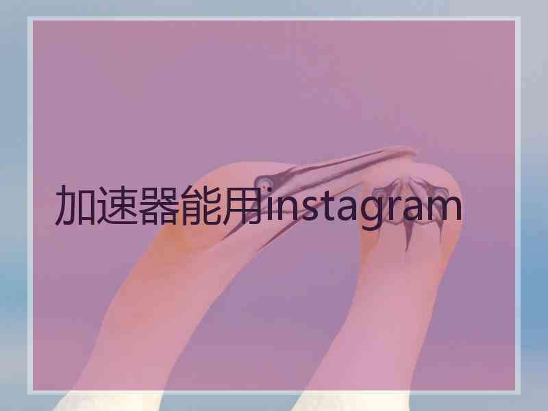 加速器能用instagram