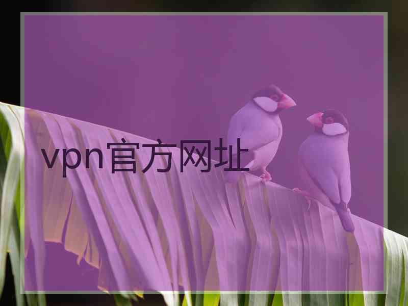 vpn官方网址