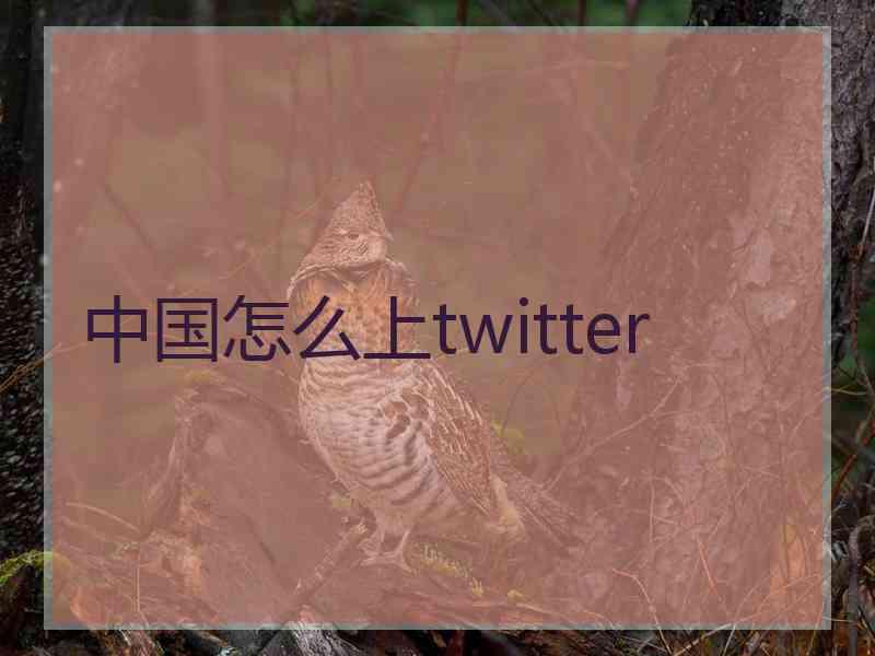 中国怎么上twitter