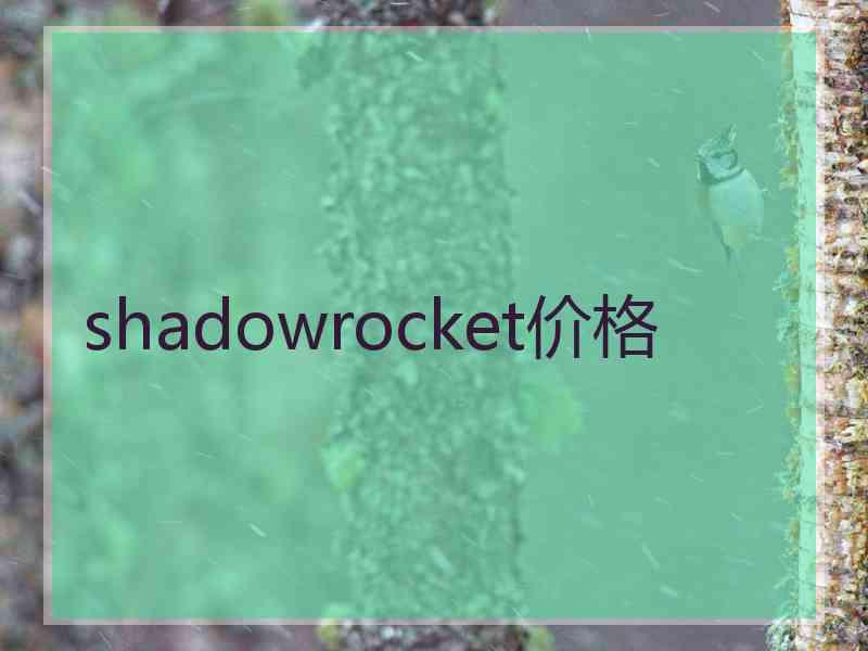 shadowrocket价格