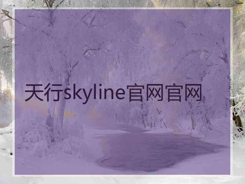 天行skyline官网官网