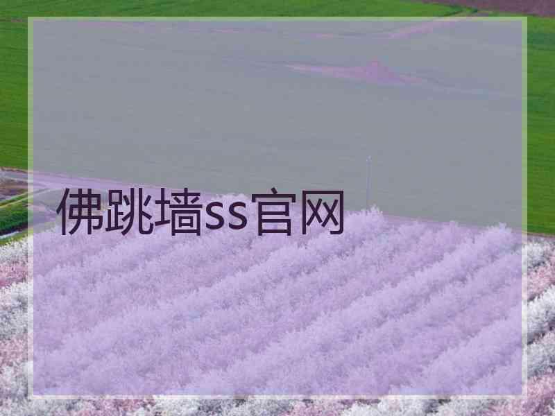 佛跳墙ss官网