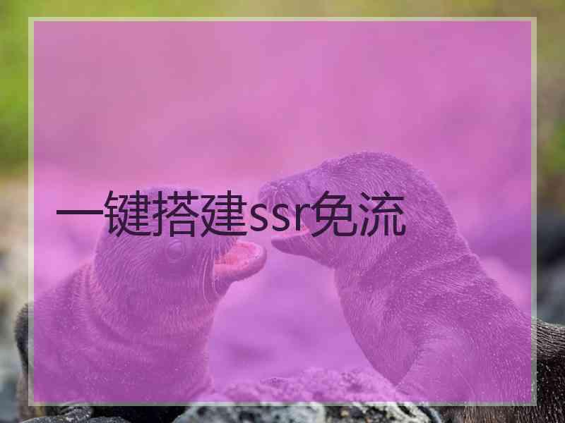 一键搭建ssr免流