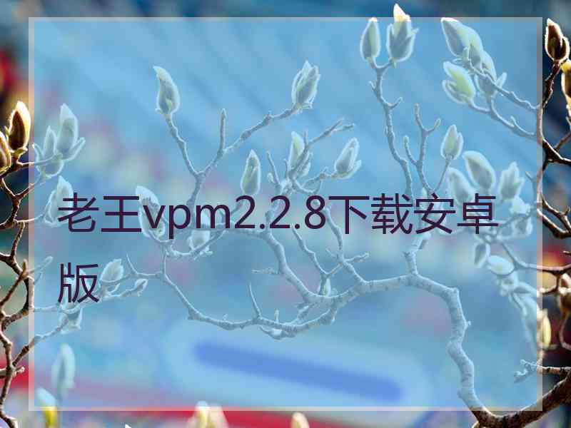 老王vpm2.2.8下载安卓版