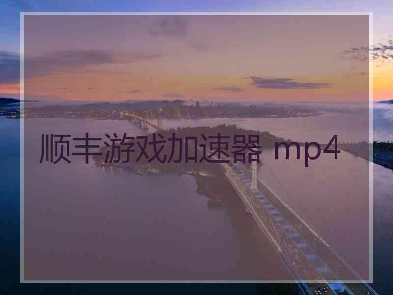 顺丰游戏加速器 mp4