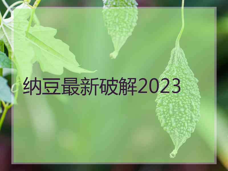 纳豆最新破解2023