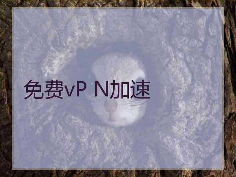 免费vP N加速