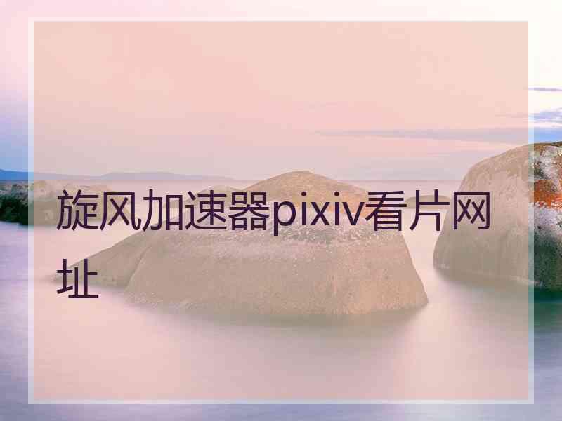 旋风加速器pixiv看片网址