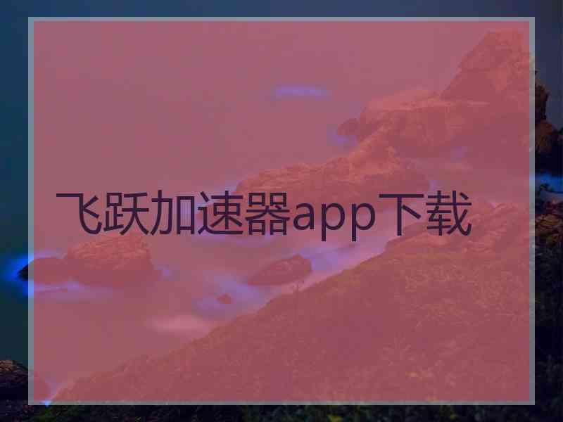 飞跃加速器app下载