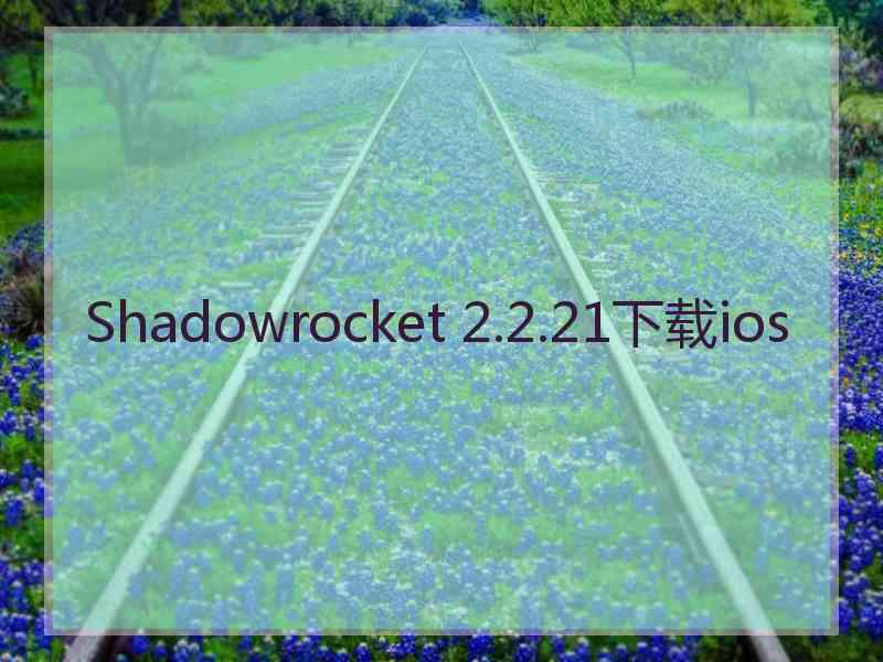 Shadowrocket 2.2.21下载ios