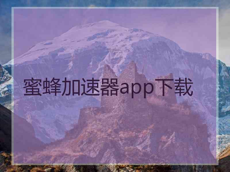 蜜蜂加速器app下载