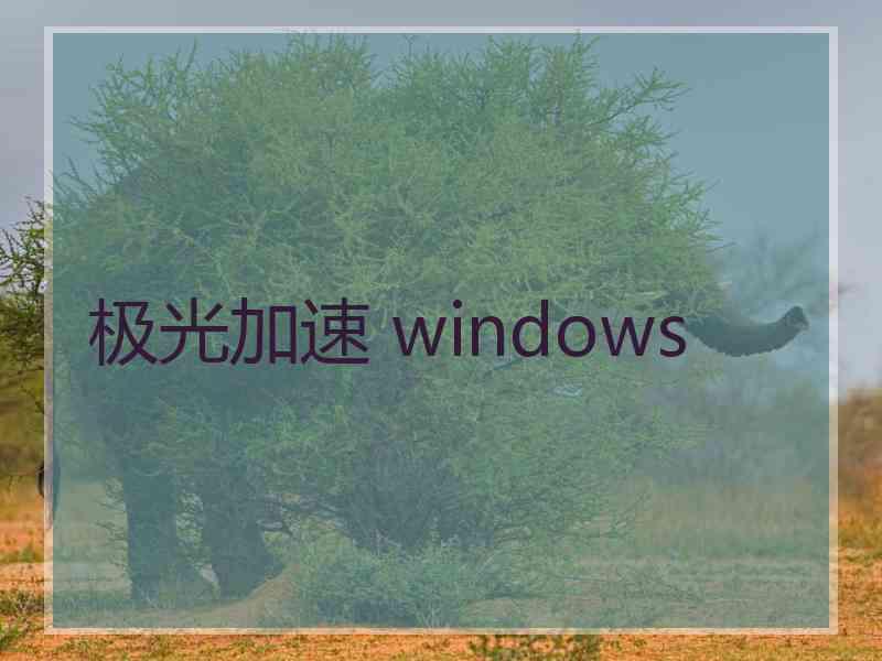 极光加速 windows