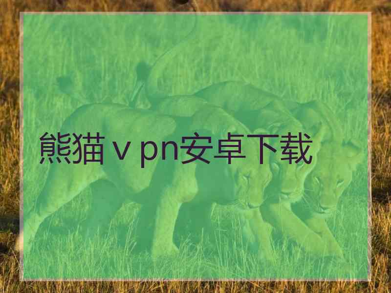 熊猫ⅴpn安卓下载